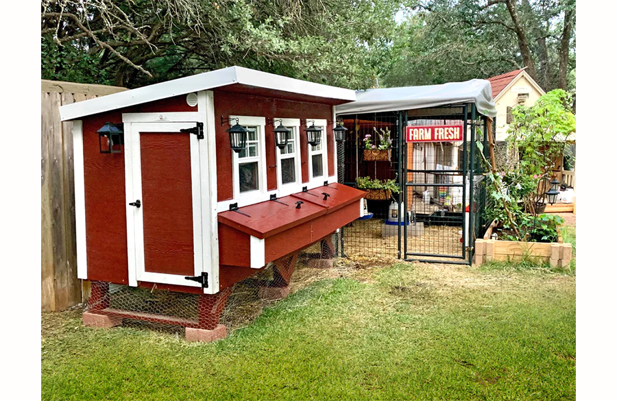 XL Chicken Coop