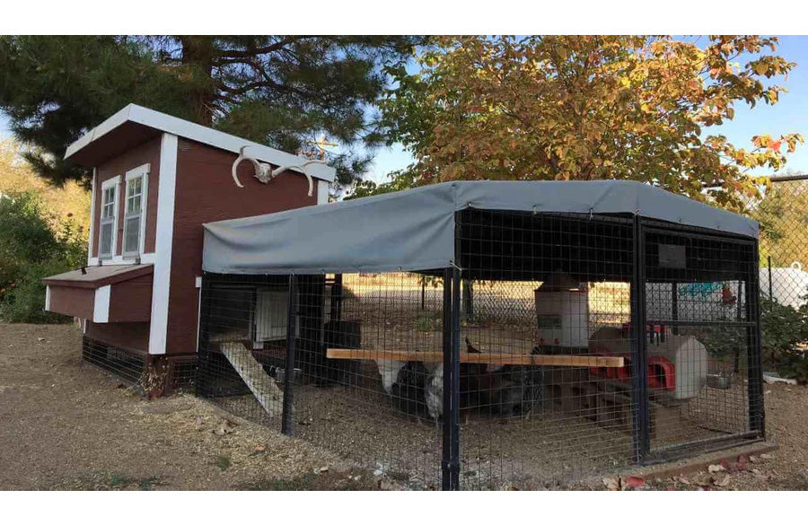 Tarp for Regular 8 ft. Chicken Run (7'W x 8'L x 4'H)