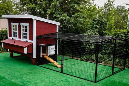 Regular 8 ft. Chicken Run (7'W x 8'L x 4'H)