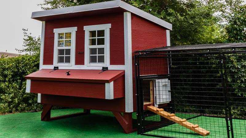 Regular 16 ft. Chicken Run (7'W x 16'L x 4'H)