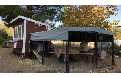 Regular 8 ft. Chicken Run (7'W x 8'L x 4'H)