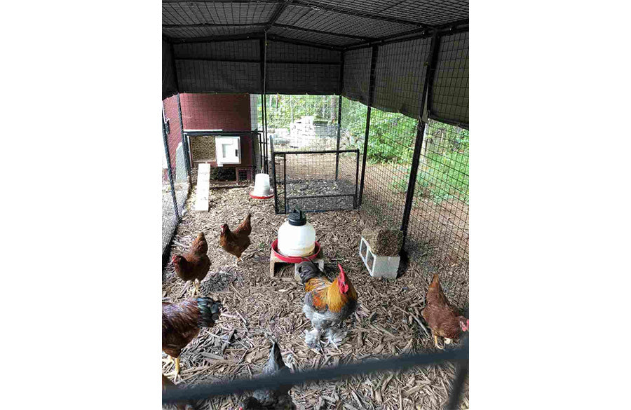 Walk-In 15 ft. Chicken Run (6'6"W x 15'L x 6'3"H)