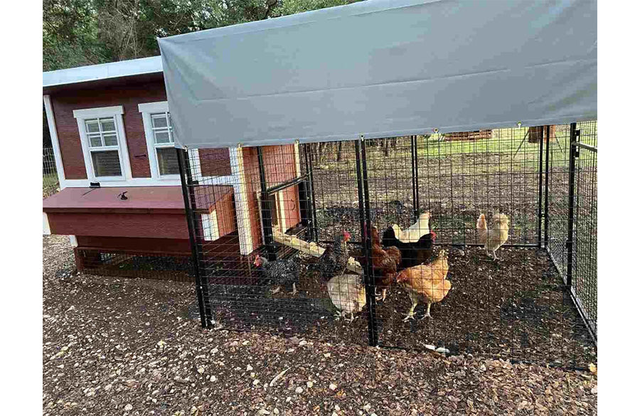 Tarp for Walk-In 8 ft. Chicken Run (6'6"W x 7'6"L x 6'3"H)